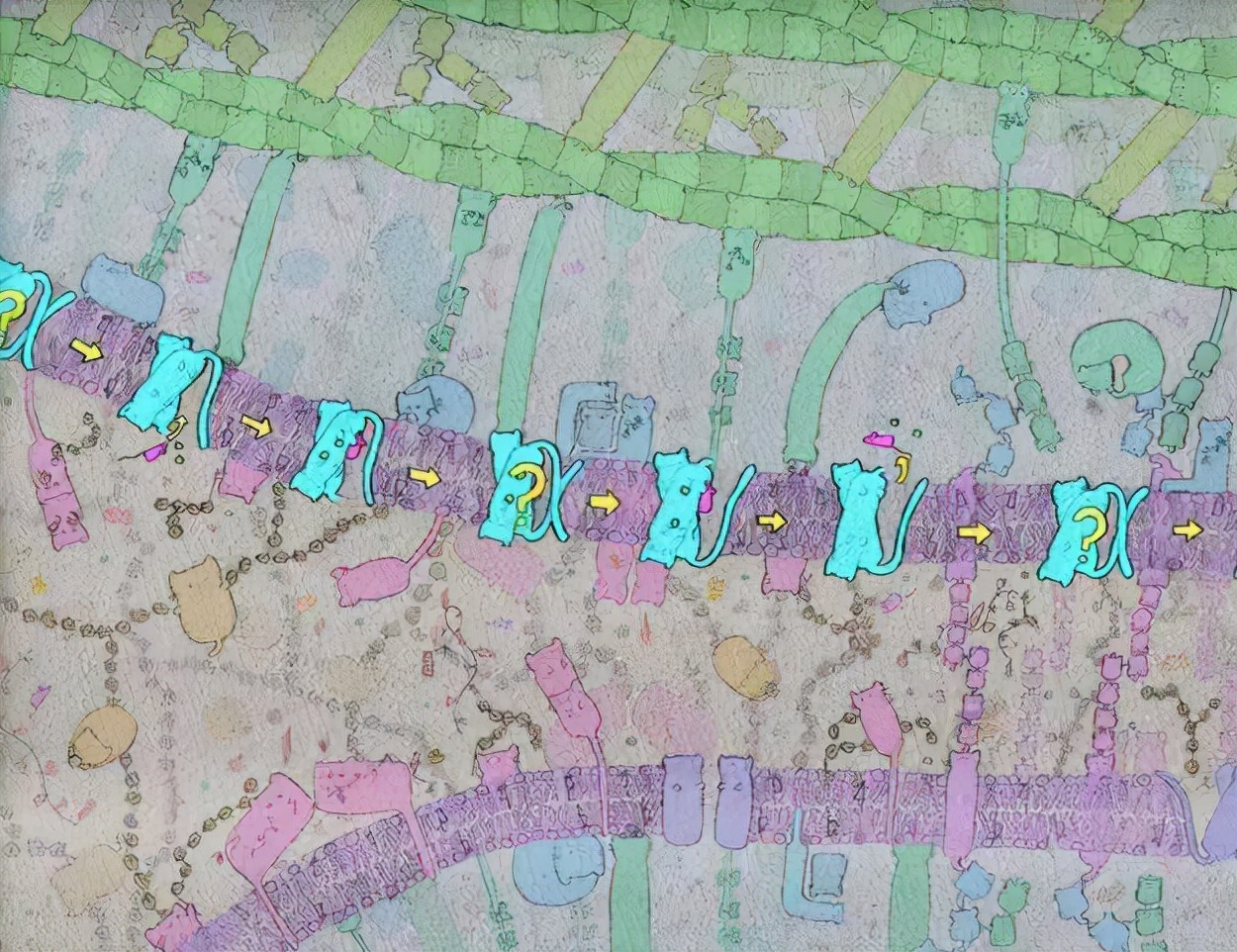 nature教你写论文,怎样快速看懂nature论文