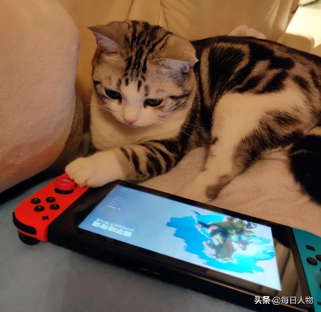 一千块买口罩，三千块买睡衣，疫情期间的女性账本