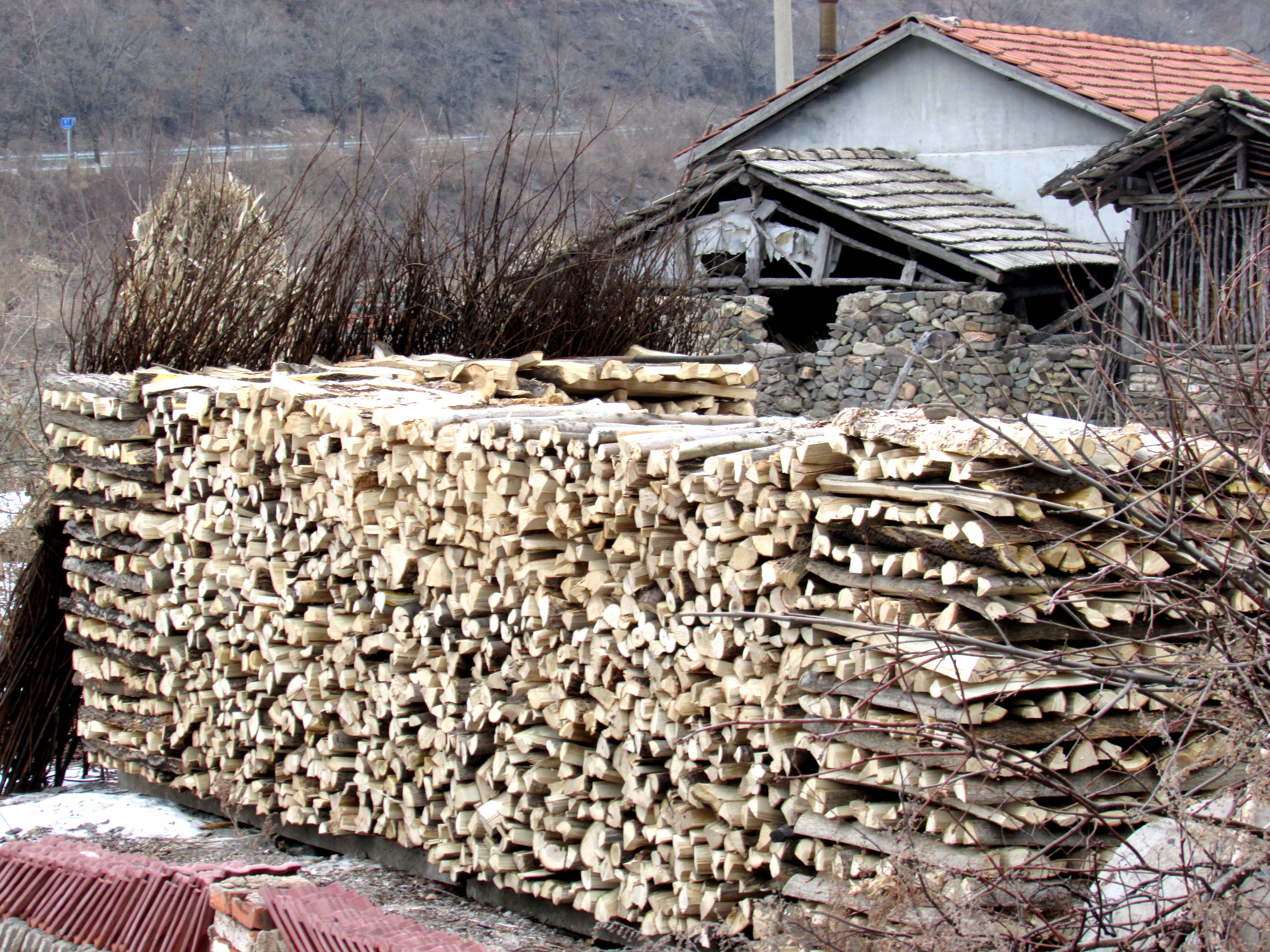 东北杀年猪来吃猪肉,老东北杀年猪