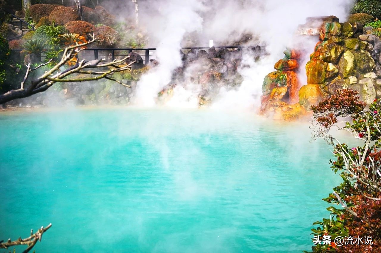 日本哪里的柚子好吃,日本北九州柚子