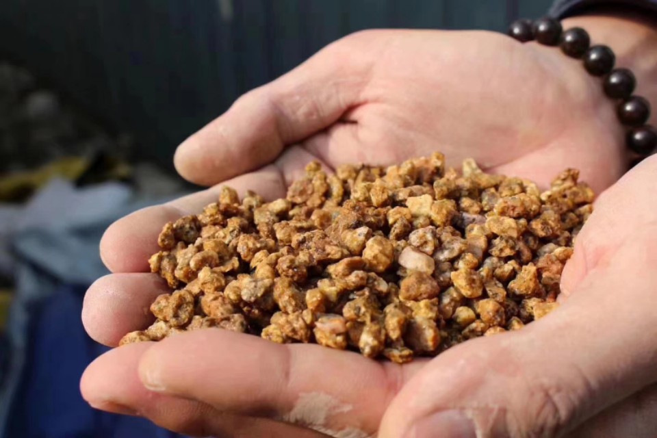 多肉植物能不能晒太阳和浇水,多肉植物太阳不直晒颜色就长不好