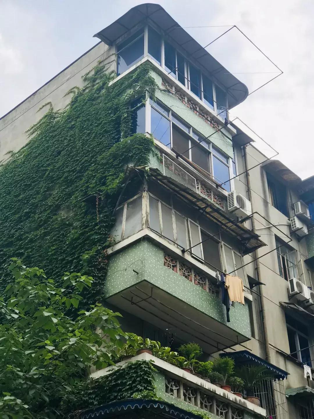 从钢管厂五区晃到莲花新区