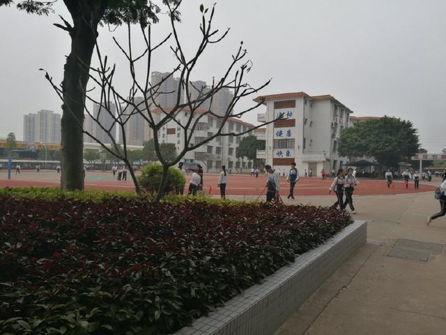 读书时期最幸福,读书是吃苦中最不苦的事是真的吗