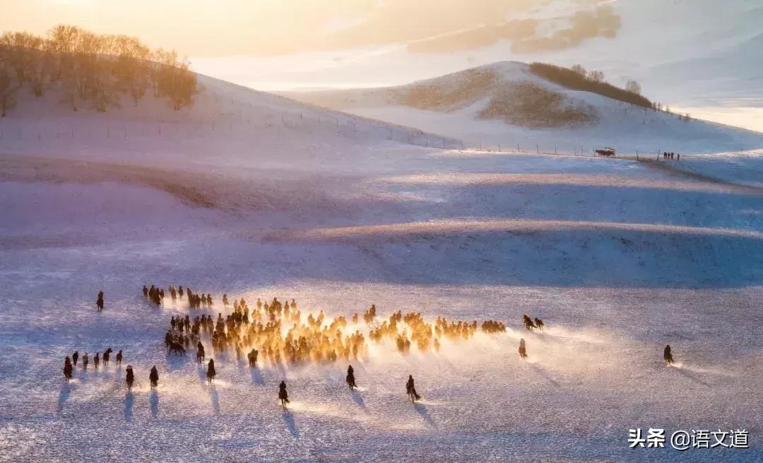 这20位诗人用30首诗词,写尽了冬天的美