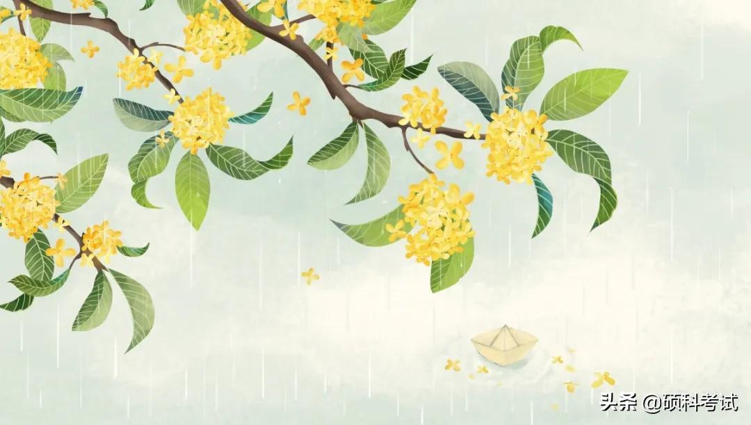 古诗描写花的好句子,古诗词描写各种花句子