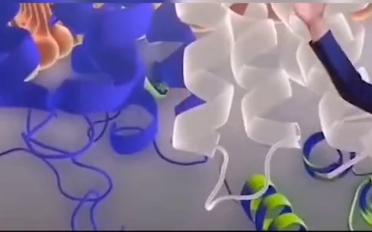 颜宁院士回应落选,女院士颜宁调侃撒贝宁