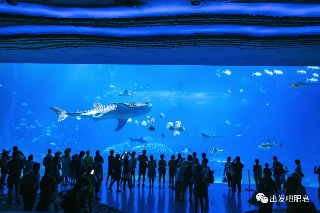 玩转珠海长隆全攻略,玩转珠海长隆海洋王国全攻略