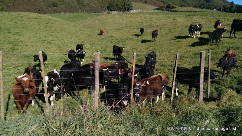 第134回：怀凯蒂山谷温泉浴，怀奥塔普地热公园