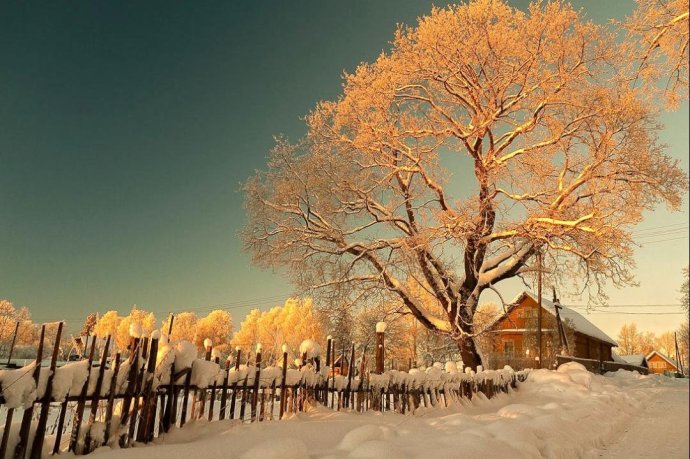 日瓦戈医生为什么要逃亡,日瓦戈医生作者晚年后悔