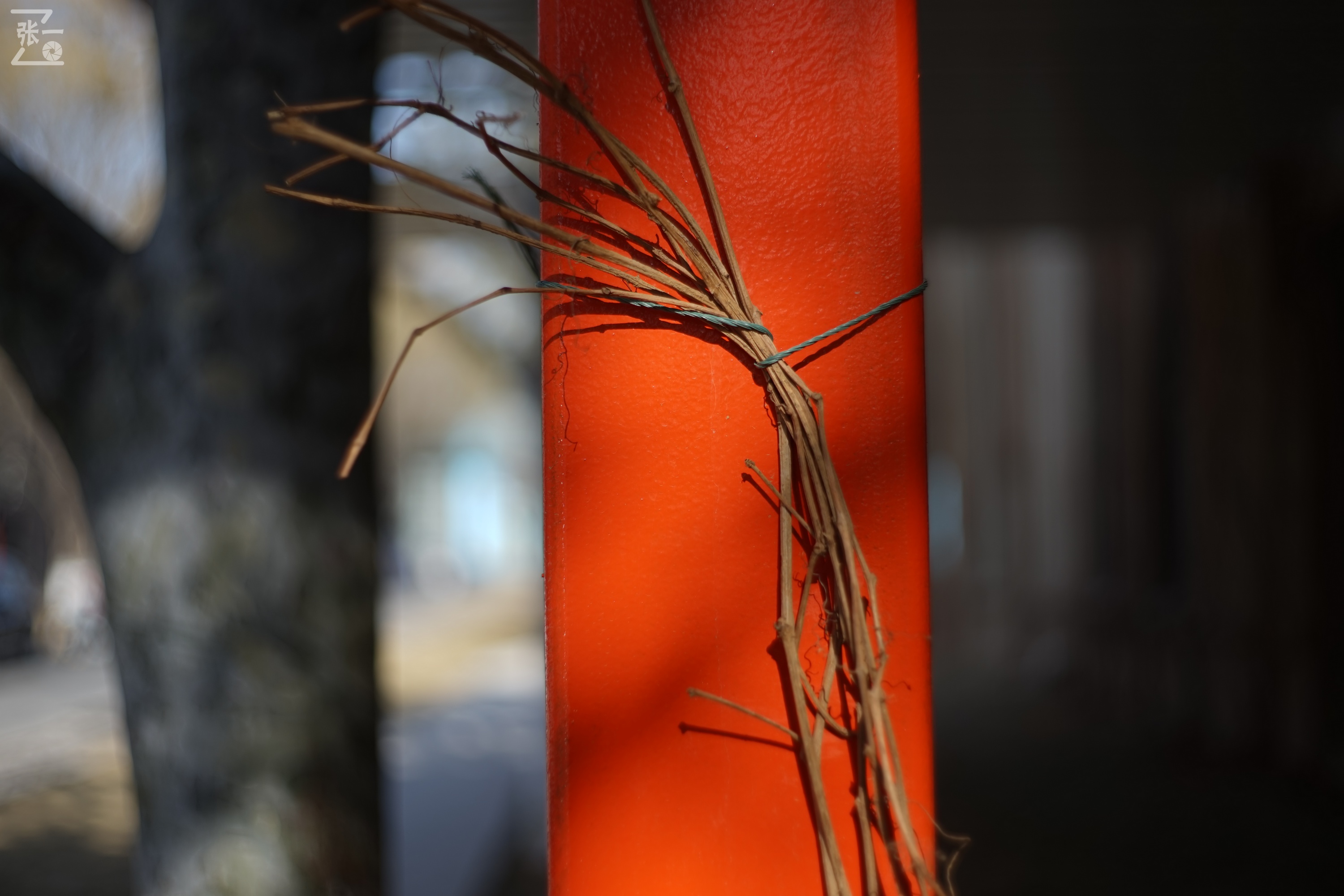 日本进口雅西卡胶卷相机,雅西卡135相机