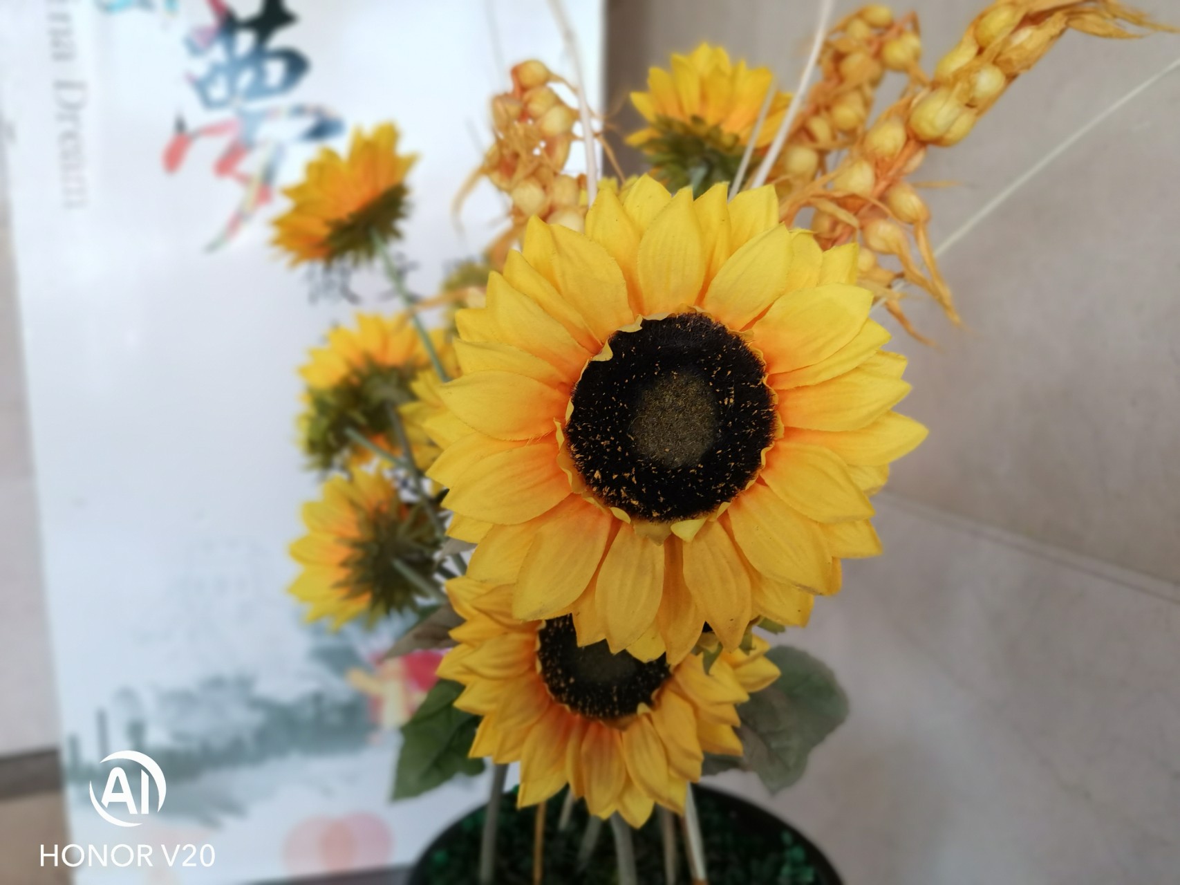 荣耀v20有哪些拍照功能,荣耀v20有什么有趣的拍照功能