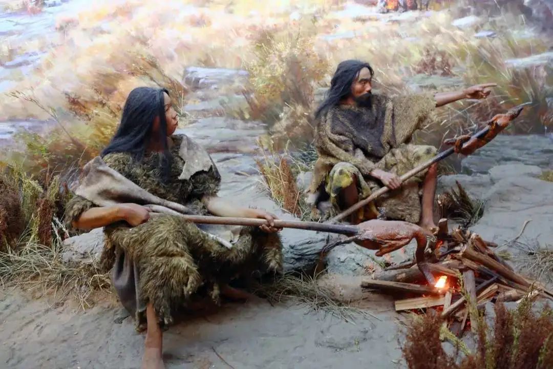 存在上亿年的虱子为何突然不见了,虱子灭绝了为什么消失不见了