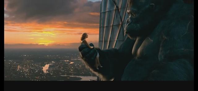 金刚电影背后的故事,金刚电影体现出爱情的片段