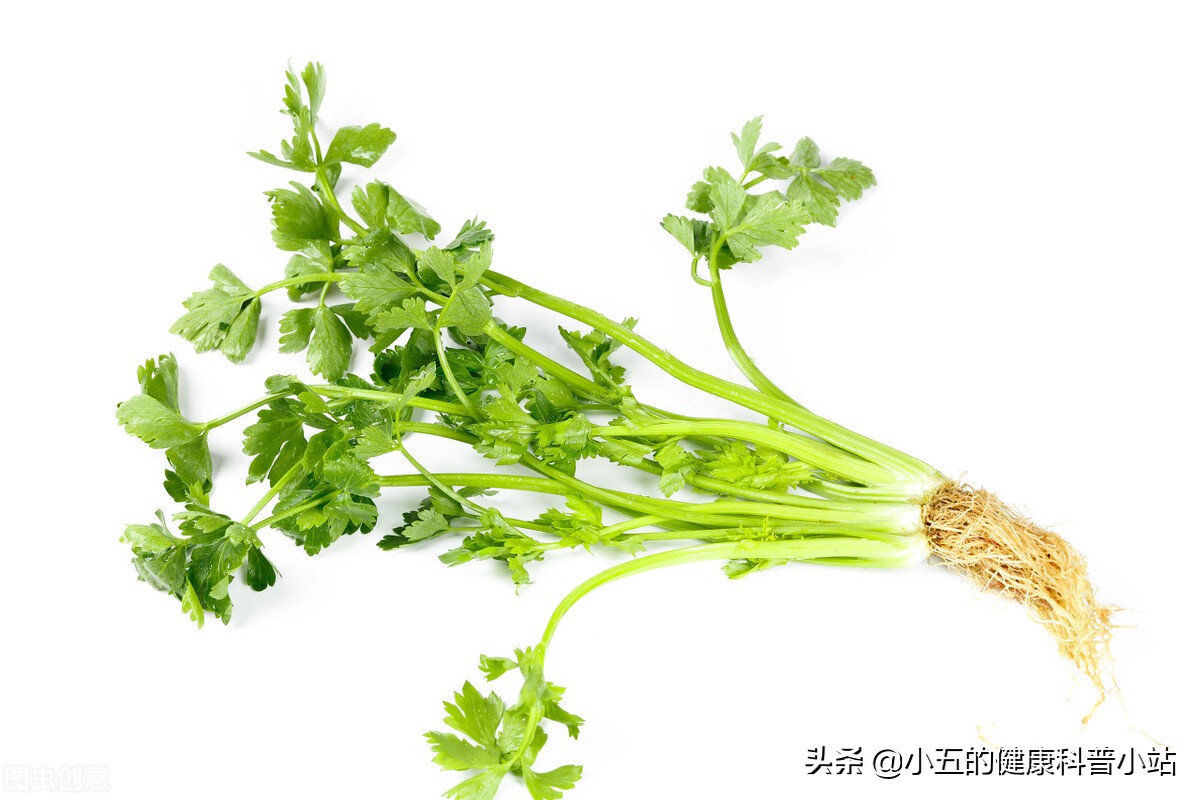 宝宝缺铁吃菠菜可以补铁吗,经常吃菠菜对身体有什么害处