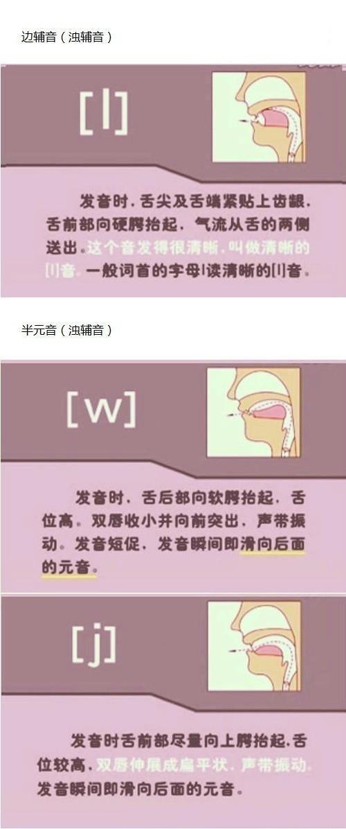 英语音标n的发音,英语音标发音图解读