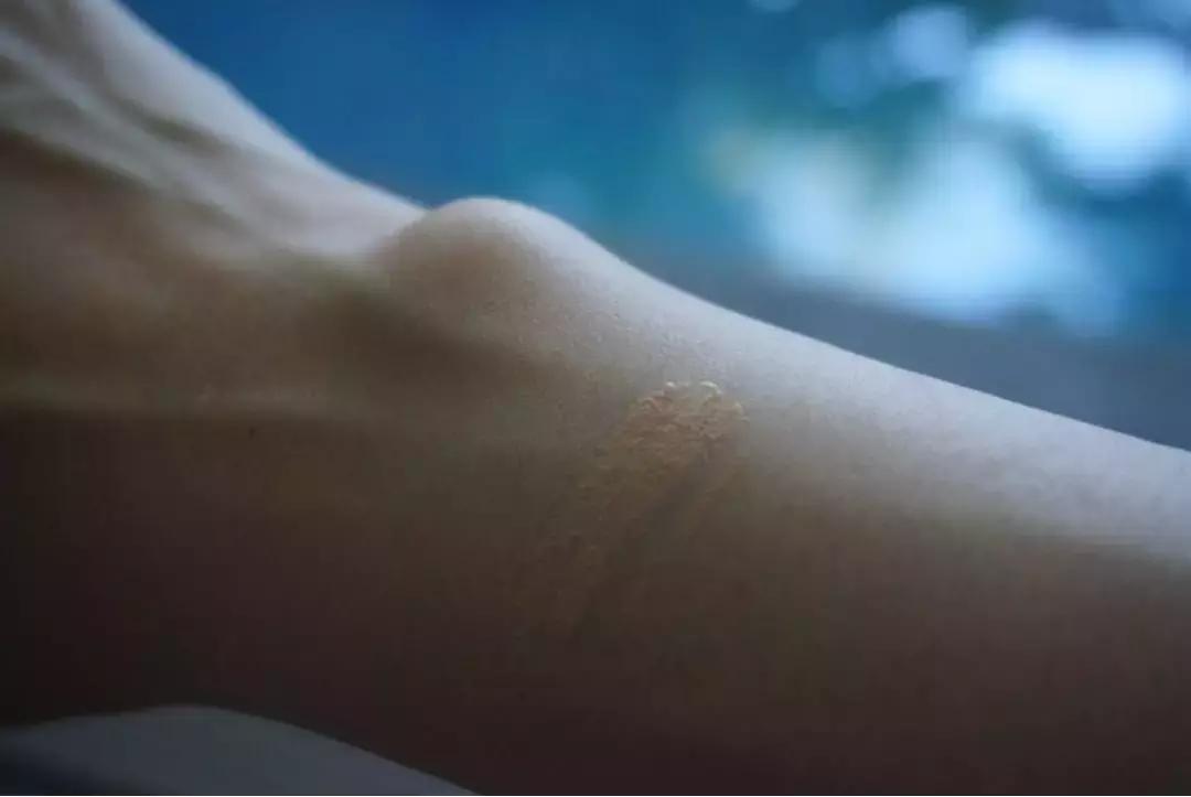 hera黑金气垫怎么看真假,hera黑金气垫17c