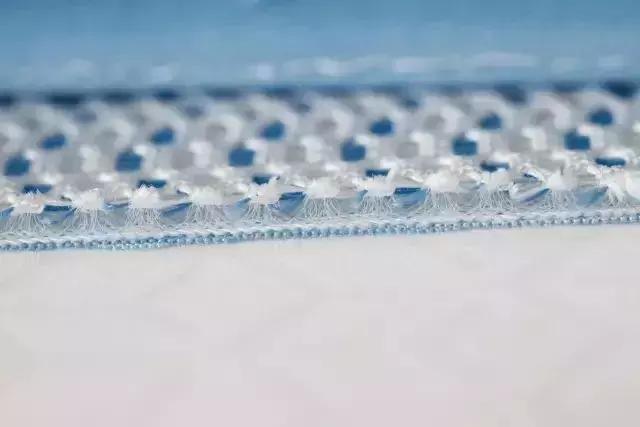 为什么一张凉席这么贵,真正好用的凉席