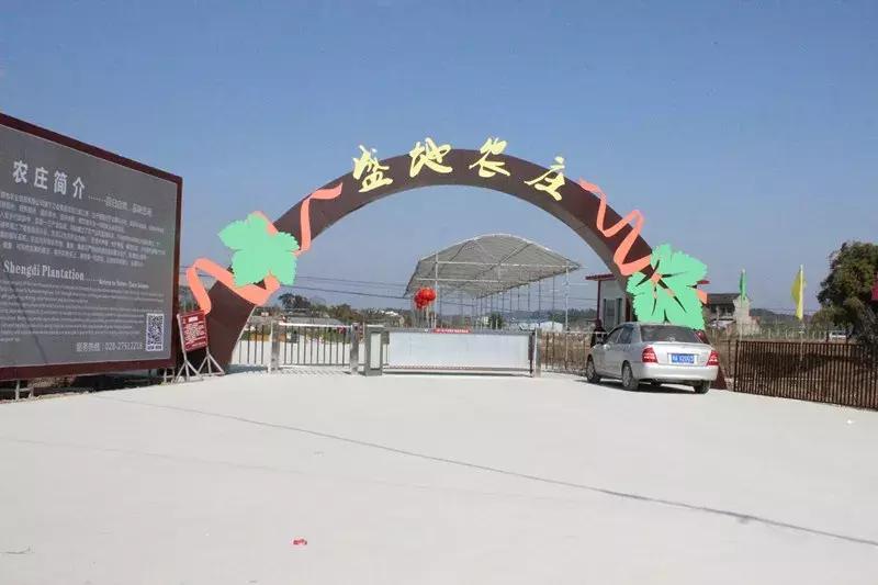 国庆7天去哪玩成都,国庆七天长假去哪里玩