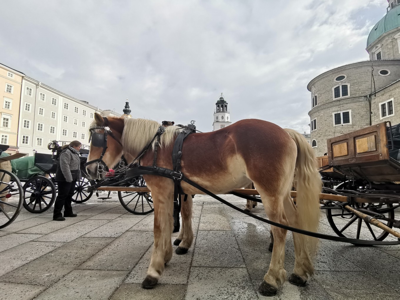 中欧五国自驾之旅跟随莫扎特的足迹品尝咖啡和巧克力