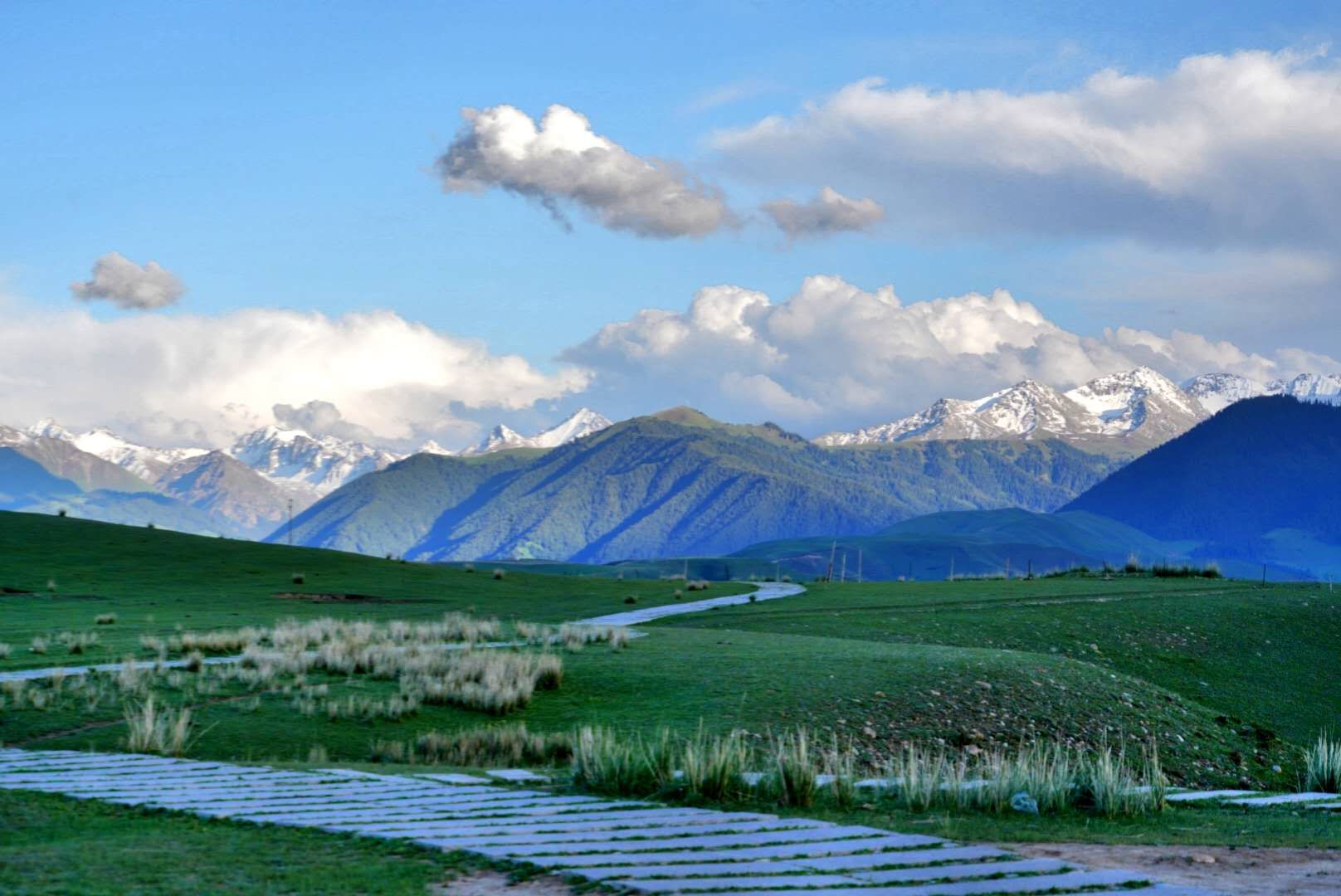 女子体检检查胃癌晚期,女孩体检发现癌症后续