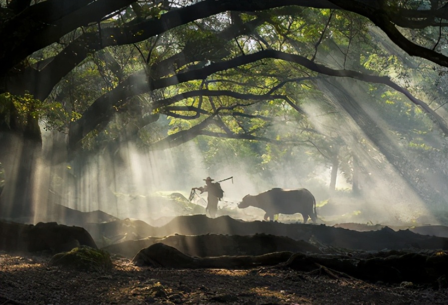 人体气的来源有三种,内气的来源和在人体中的作用