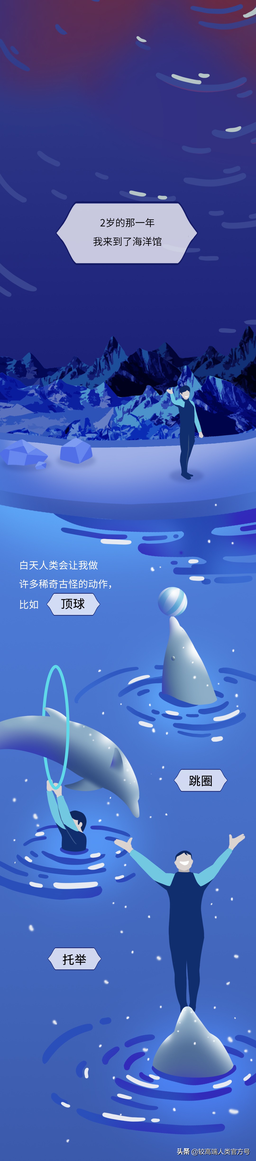 囚禁海豚,海豚表演有多残忍