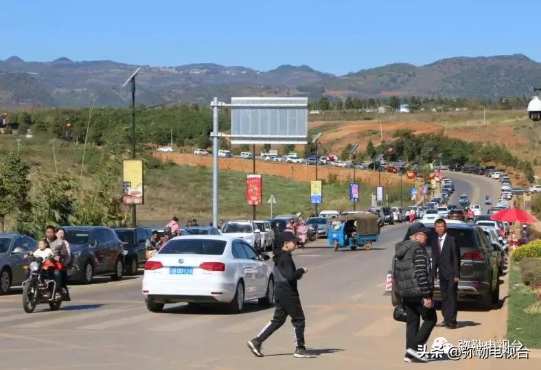 太热闹!弥勒花海、人海、车海、舞海...这些人上镜了!