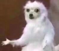 剑网三家园东西找不到了,剑网三怪物家园