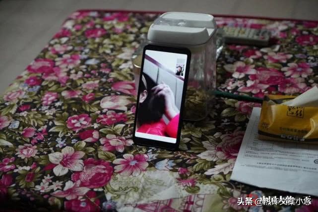 武汉发烧37.6,发烧37.9℃