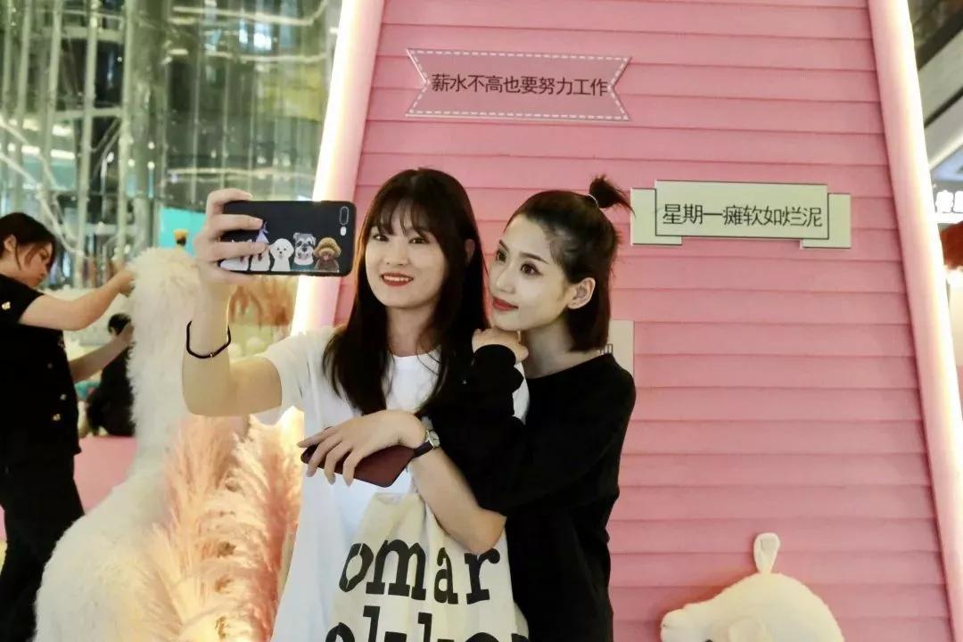 少女心爆炸,千只萌驼空降大坂田,领10000份羊驼潮趣礼品