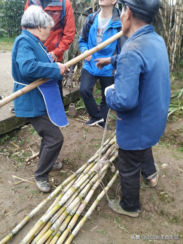 重庆江津中坝岛正宗甘蔗红糖,甘蔗中坝岛视频
