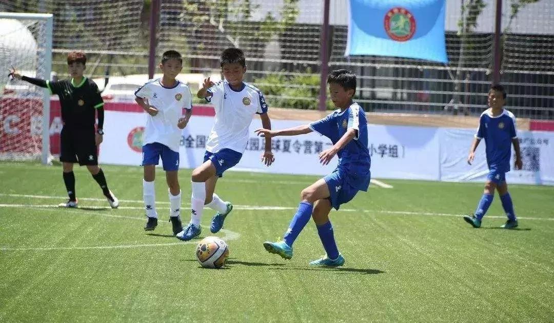 清华教授培养普通人,清华教授教育孩子方法