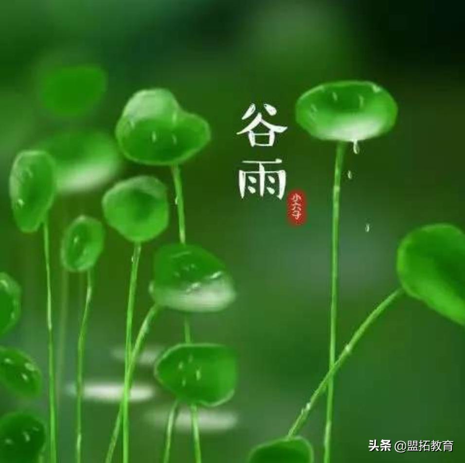 谷雨节气一般在几月几日,谷雨一候谷雨二候谷雨三候