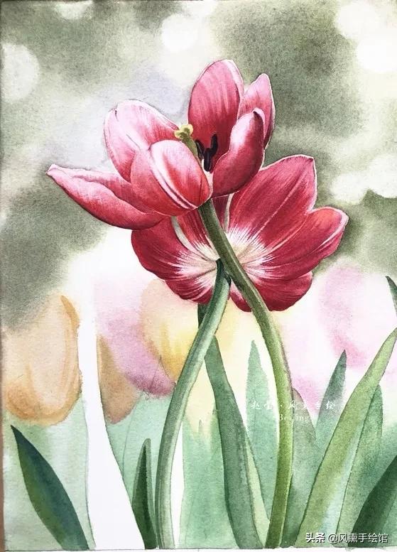 怎么用水彩笔画郁金香教程,粉色水彩郁金香怎么画图片