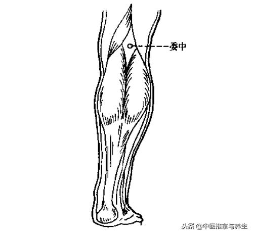 膝盖风湿关节痛推拿哪个穴位,膝盖疼痛风湿关节炎穴位治疗法