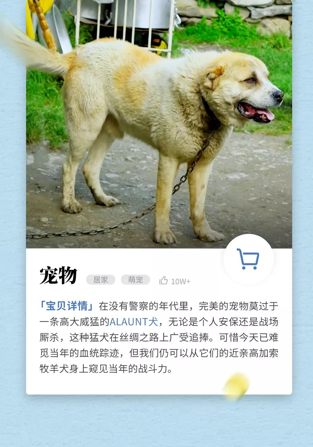 古人买很多东西,中国古人爱海淘