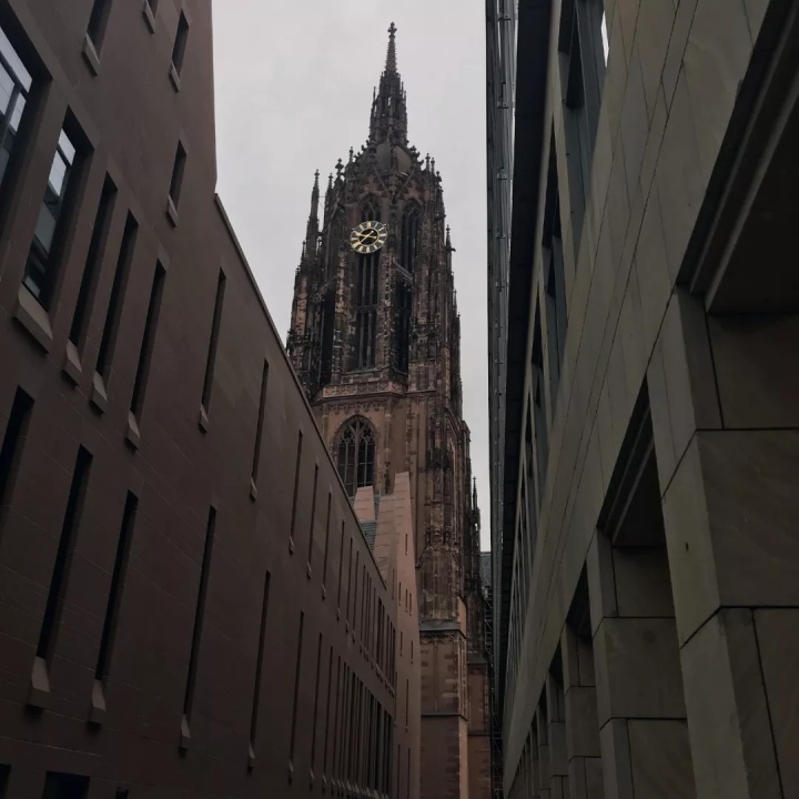 19年夏日记录|是美因茨的幸运女孩儿