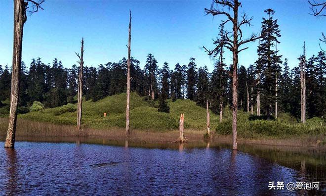 峨眉山和瓦屋山哪个更好,峨眉山一日游精选游记