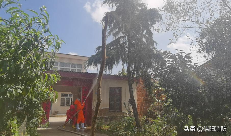 信阳今天有什么新闻大事,信阳今日热点事件