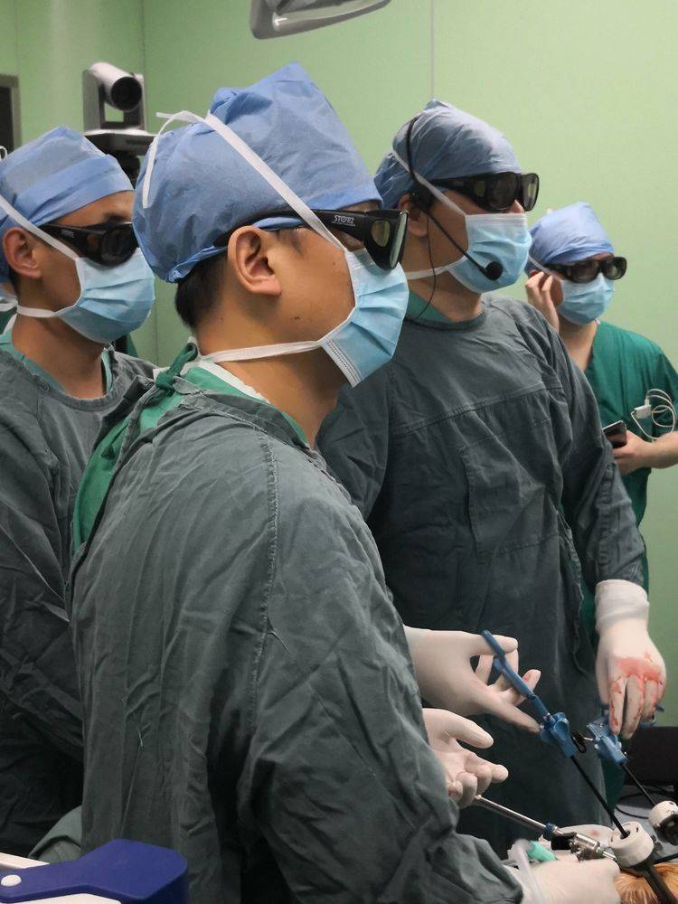 全国第27届泌尿外科学术会议,2024年全国泌尿外科年会