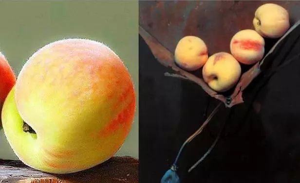 冷军画桃子图片大全,冷军画桃子放大5倍