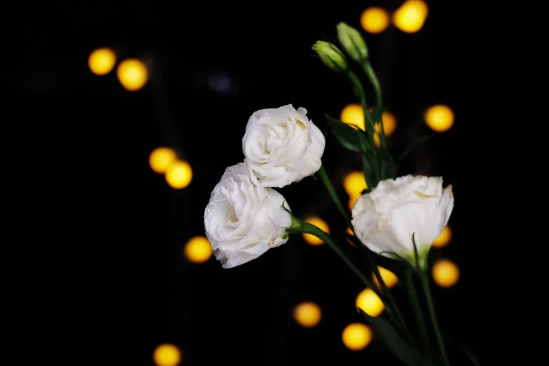 七工匠25f1.8大光圈,七工匠f0.95镜头多大光圈画质最好