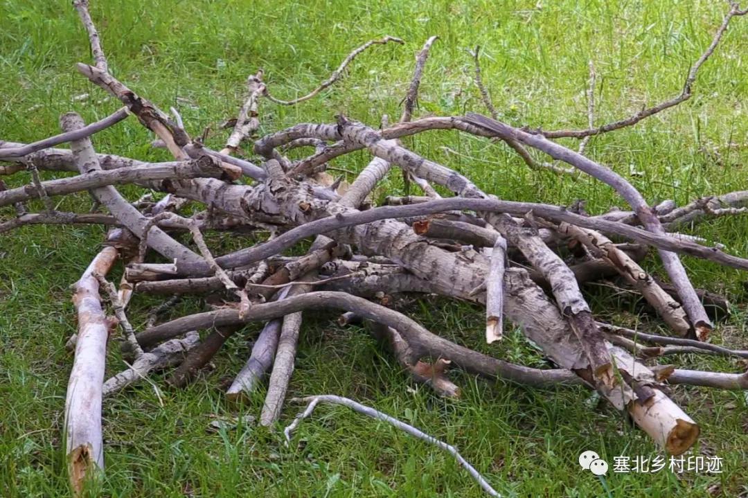 木炭制作视频,传统木炭工艺制作视频