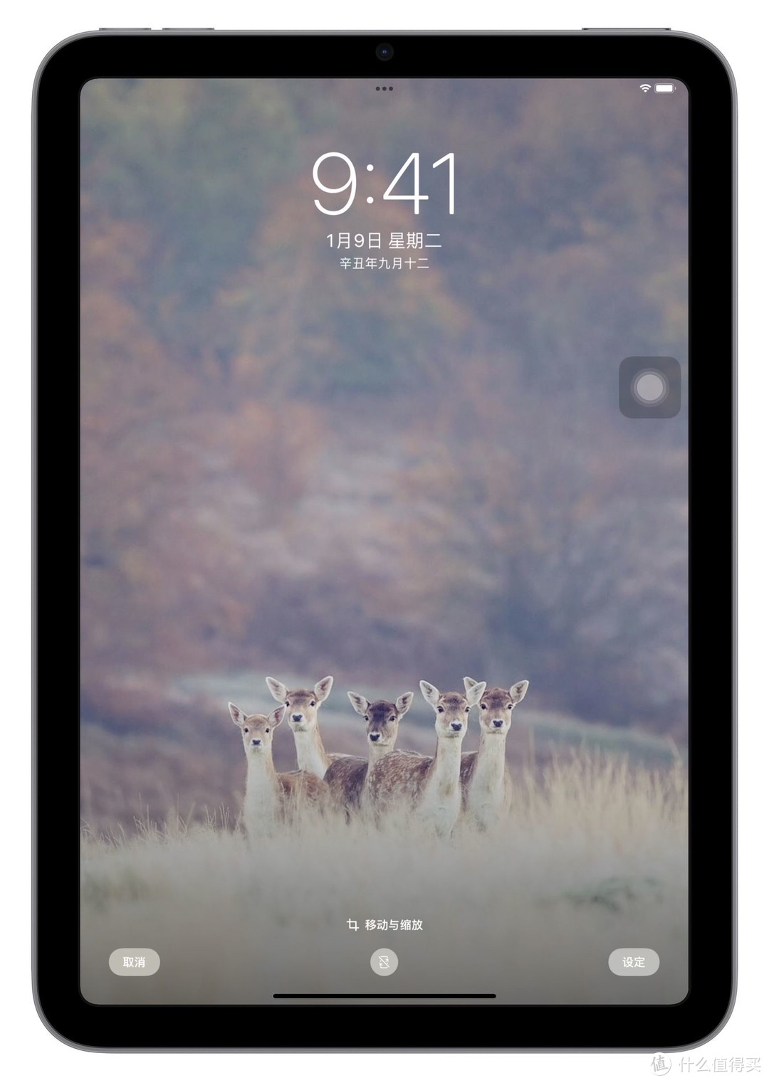 终于等到你还好我没放弃现场,终于等到你还好我没放弃动图