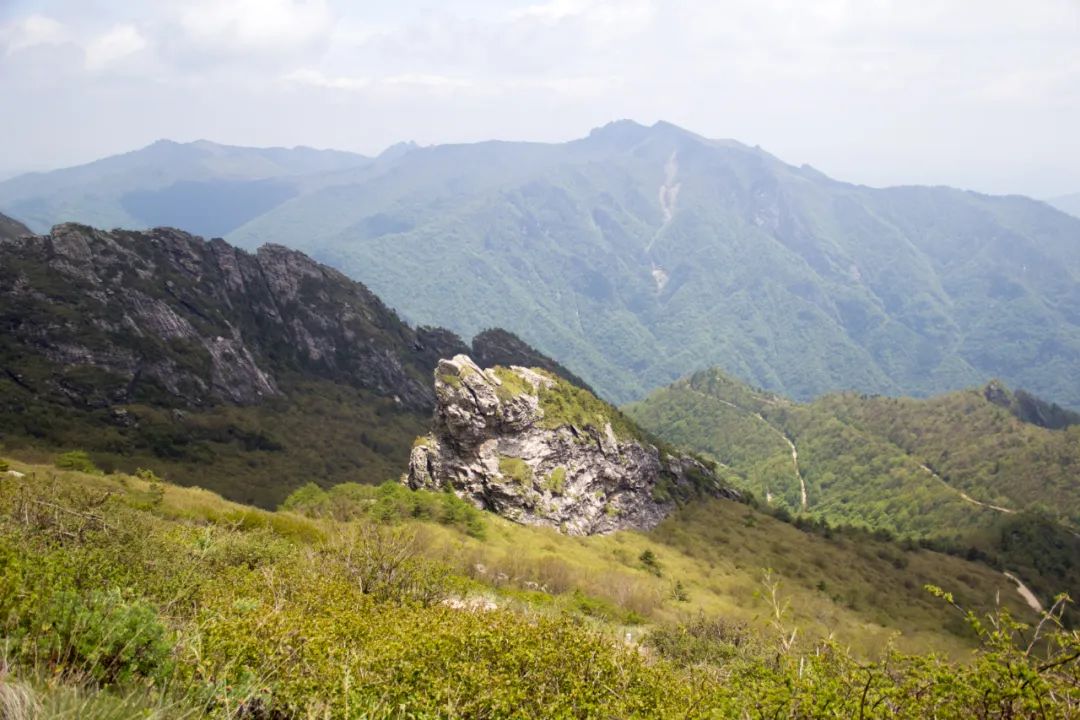 秦岭光头山至鹿角梁穿越路线,秦岭西观音山徒步登山路线攻略