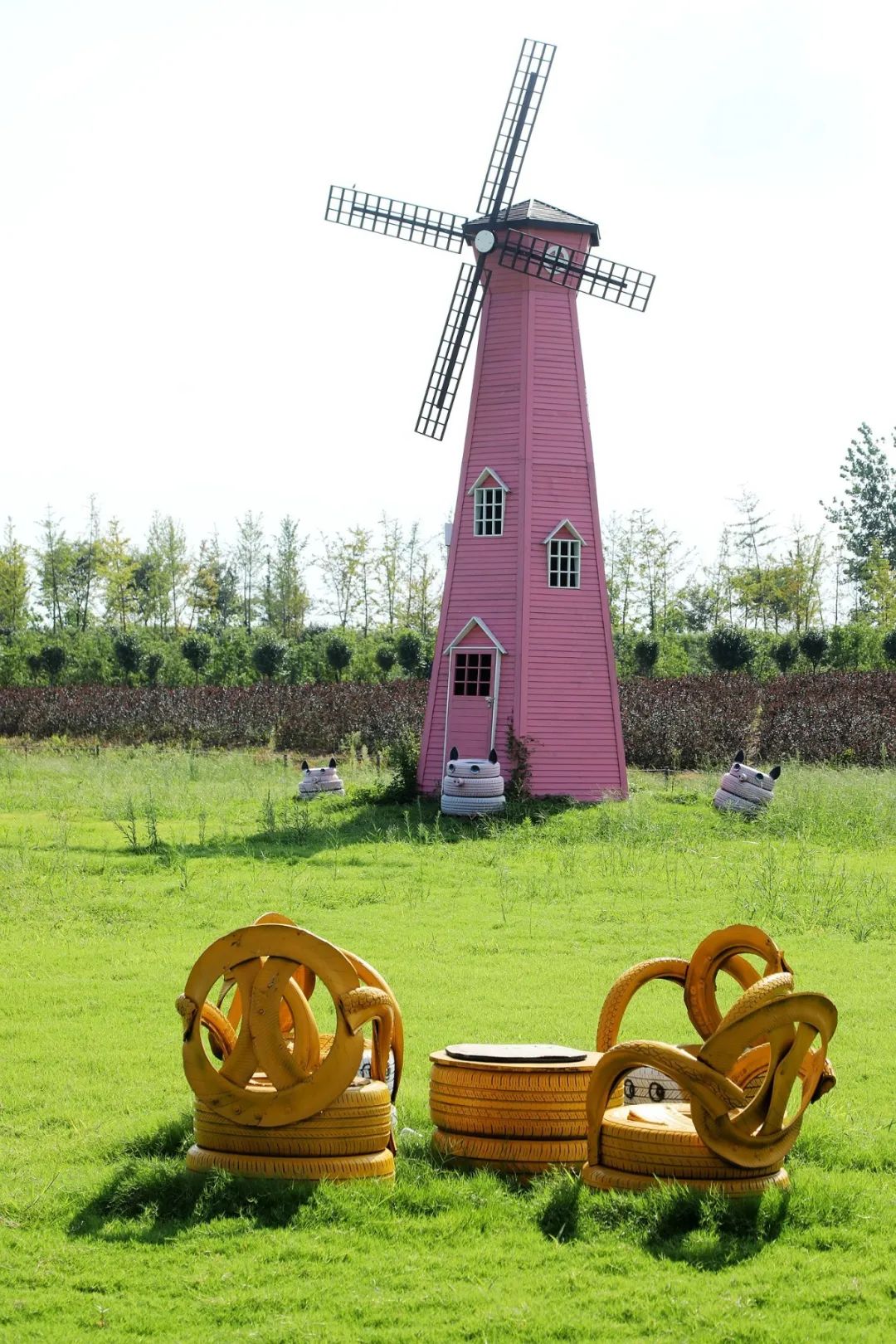 森氧之地，秋游必选！金湖万亩水上森林，真的别有趣味