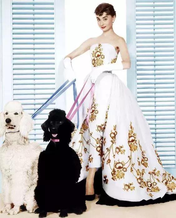 中国口碑最好的十大女装品牌,女装奢侈品牌排行榜