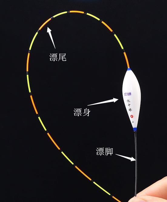 不同漂型的浮漂各有什么特点,孔雀羽浮漂和芦苇浮漂的优缺点