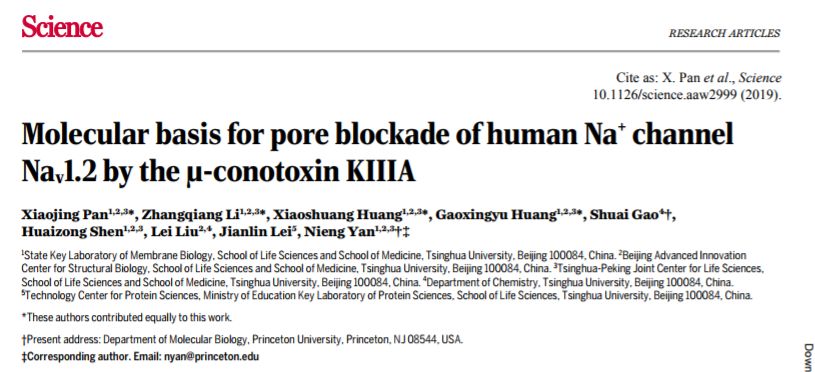 冷冻电镜最新研究,冷冻电镜研究成果涌现