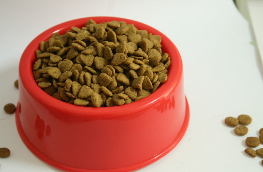 怎么挑选狗粮便宜量多有保障,买狗应该怎么挑选好的狗粮